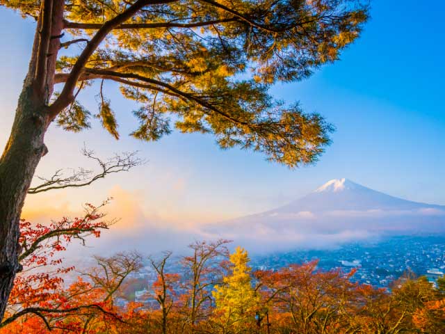 Outono no Japão: A Magia dos Festivais e Atividades da Estação